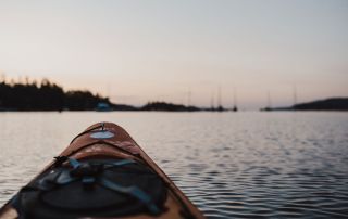 steward the salish sea