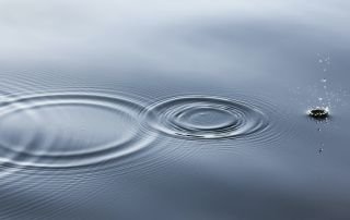 water conservation