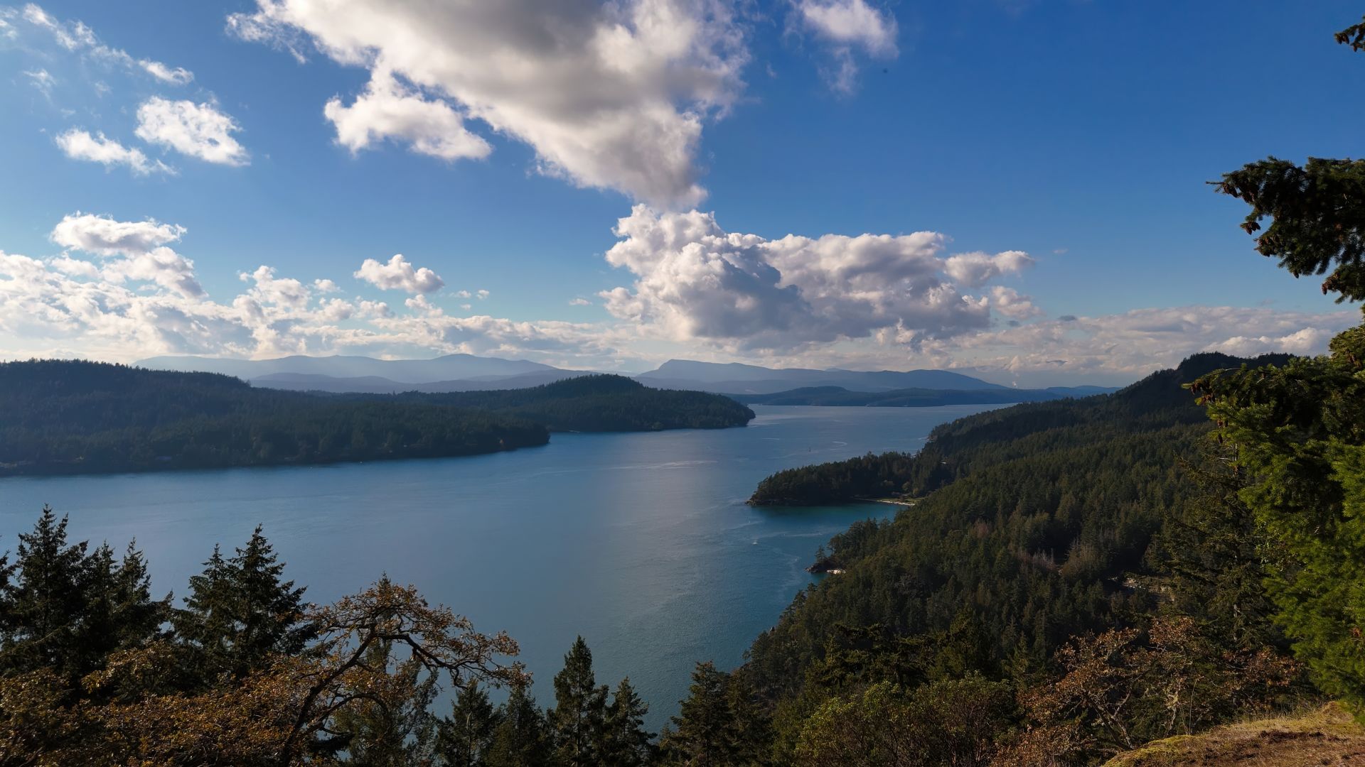 Mayne Island View